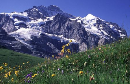 Jungfrau Mountains